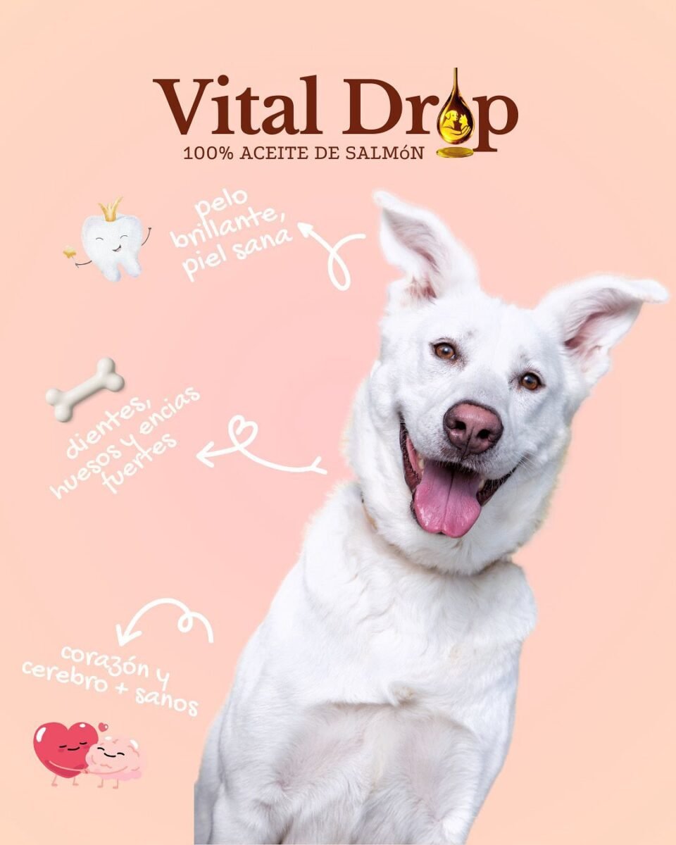 aceite de salmon Vitaldroppets beneficio salud cognitiva