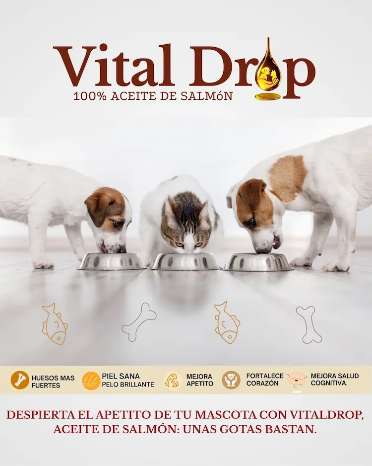 aceite de salmon Vitaldroppets beneficio estimulacion del apetito