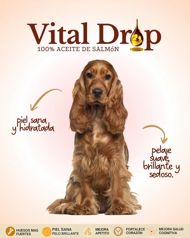 Aceite de Salmon Vitaldroppets Beneficio piel y pelaje radiantes