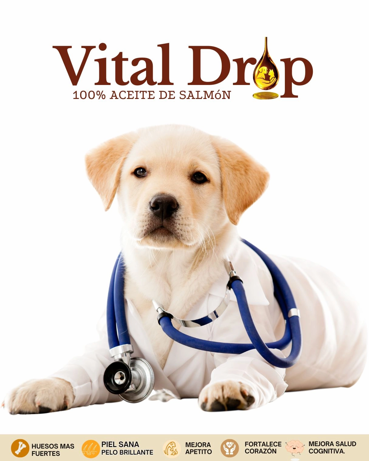 aceite de salmon Vitaldroppets beneficio  salud cardiovasculas