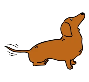 Perro cafe testimonio 5 Vitaldrop 